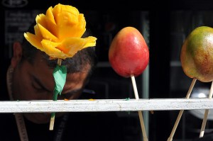 thanks for caribb on Flickr for use of the photo